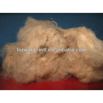 white camel wool fiber